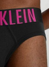 Calvin Klein 2 PACK - pánské slipy NB2601A-GXI (Velikost L)