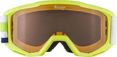 Alpina Sports lyžařské brýle Piney, SH, zelená
