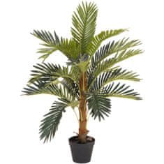Europalms Kokosová palma, 90 cm